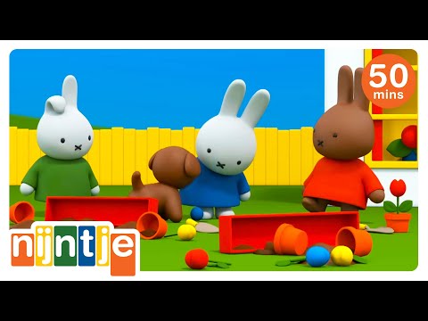 Wie heeft de bloempotten gebroken! | nijntje | het beste van nijntje