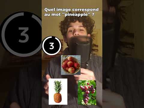 Quiz anglais niveau 6ème 🇬🇧