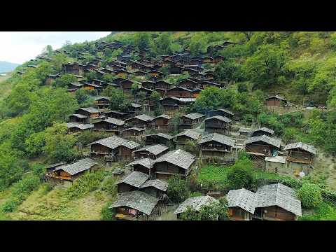 Exploring Rare Wildlife in China’s Himalayas (4K Documentary)