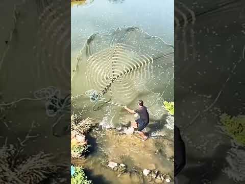 Cara Tepat Lempar Jala Ikan #shortsvideo #Menjala #Trik