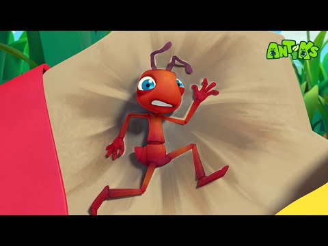 ANTIKS | Silly Bums | Funny Cartoons For CHILDREN