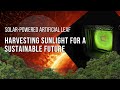 Artificial Leaf Technology Concepts
