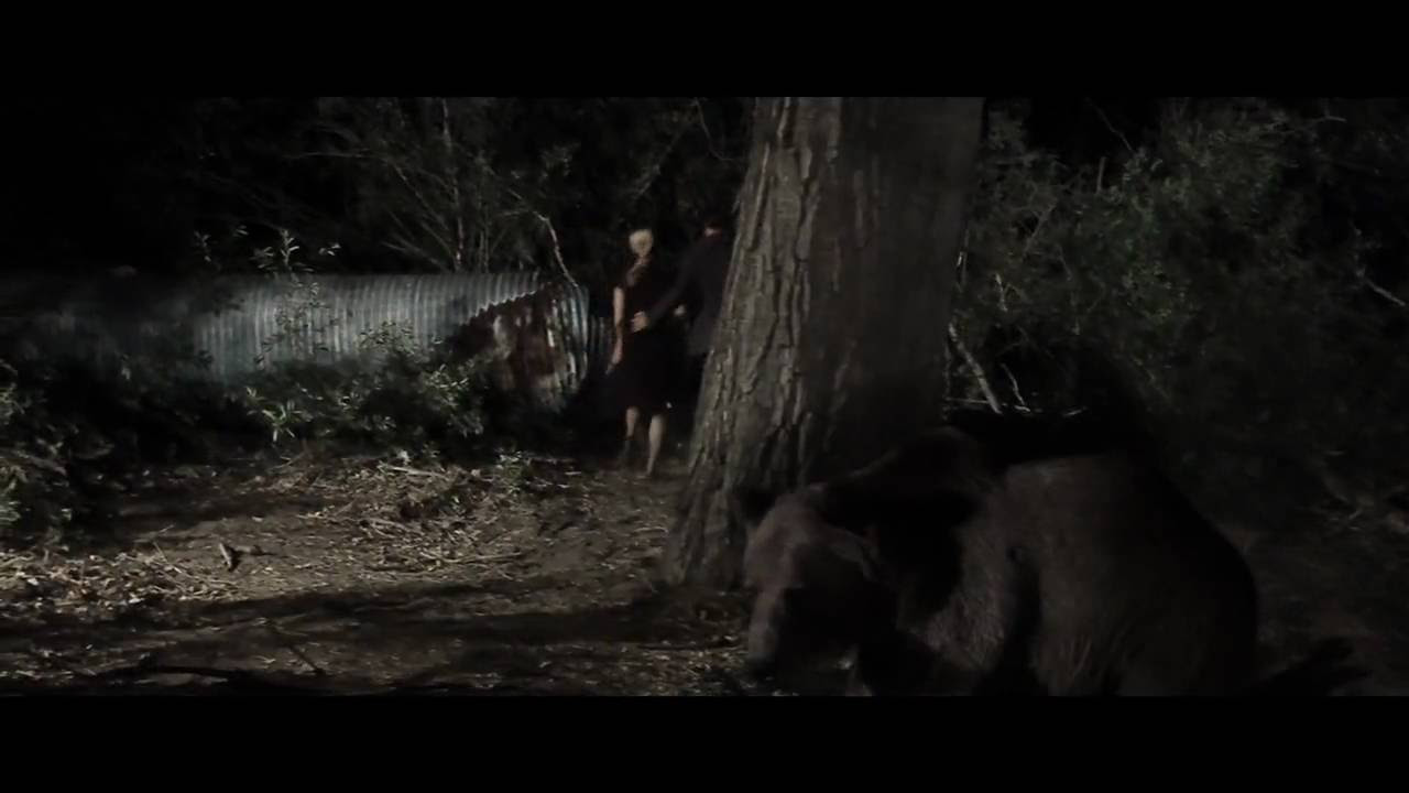 Bear Trailer thumbnail