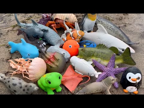 Riverbank Sea Animal Toys Water Playtime for Kids