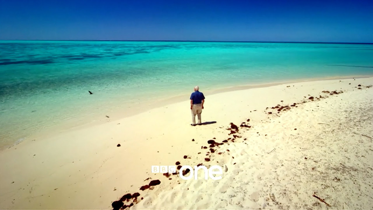 Great Barrier Reef with David Attenborough Trailer thumbnail