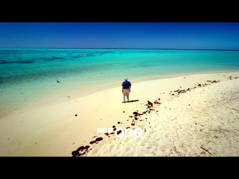 Great Barrier Reef with David Attenborough: Trailer - BBC One