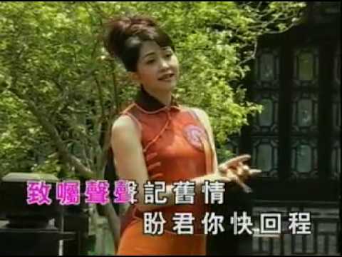 叮嚀_(胡美儀)-KTV