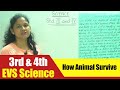 Animal Adaptations and Habitats