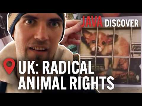 Grave Robbing for Guinea Pigs: The UK's Most Extreme Animal Rights Movement | Full Documentary