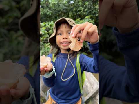 Biak petualang makan kuping monyet😱