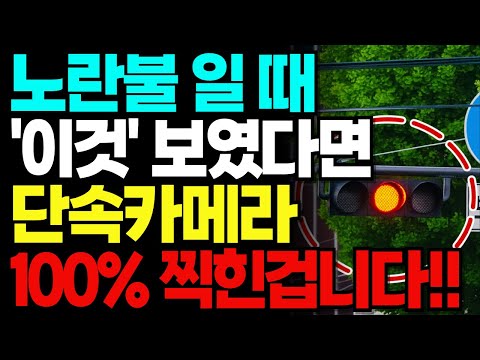 노란불에 멈췄는데도 단속? 신호위반 카메라 100% 찍히는 순간｜루프센서·속도 오차·eFINE 확인법 총정리｜시니어 운전자 필수정보