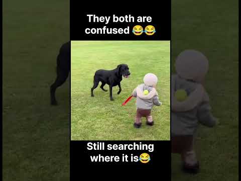 They both are confused where that is gone 😂😂|| #shortsfeed #shorts