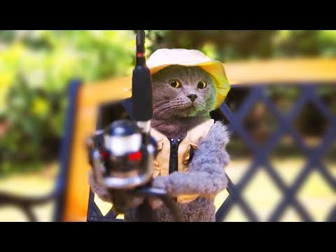 NEW Aarons Animals Best Compilation || FunnyVines