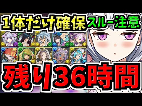 【残り36時間】スルー注意！1体だけ確保！交換優先度ランキング！ブライダル交換所解説！最強キャラを後悔のないように交換しよう！【パズドラ】