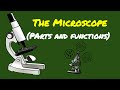 Exploring Parts of the Microscope and Their Functions