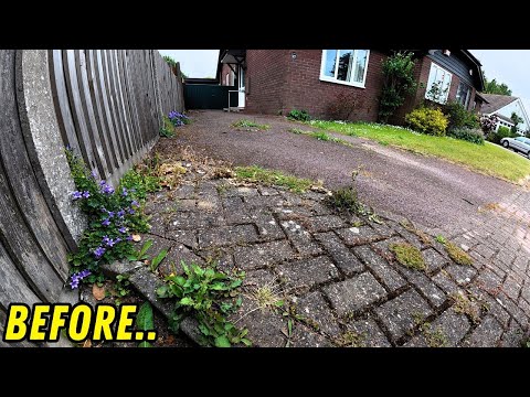 We Just Turned Up! Surprise Transformation but does it go to plan?!