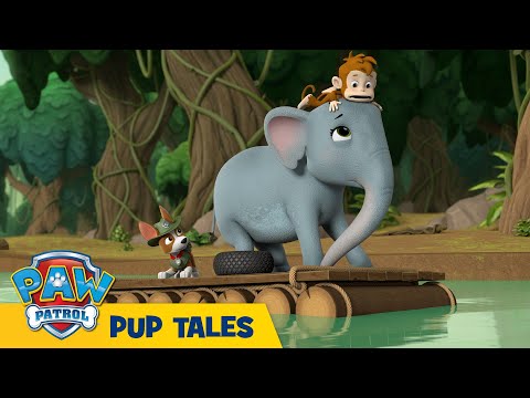 🐶 Pups Save Upset Elephants | PAW Patrol | Cartoons for Kids