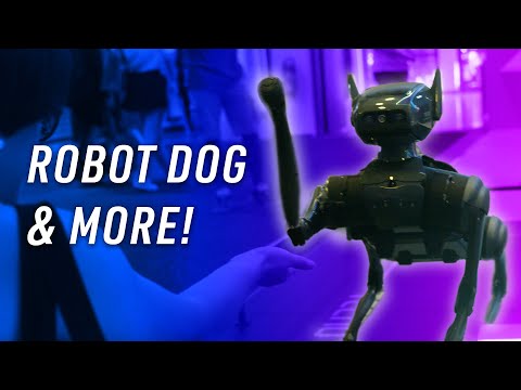 Robotic Dogs, AR Glasses, Tiny Water Cooled PCs! | TECNO Booth Tour at IFA 2024