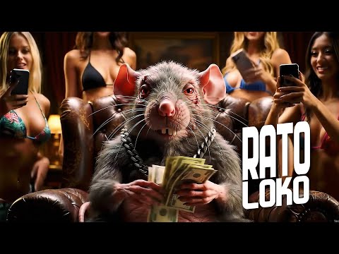 RATO LOKO - LUCAS SINGLE