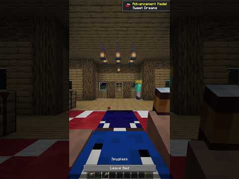 Nightmare About Spider #minecraftmemes