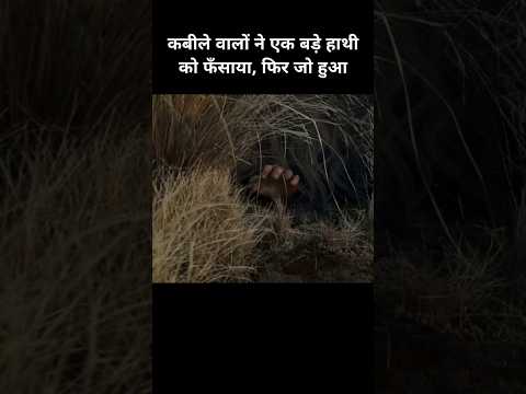 कबीले वालों ने एक बड़े हाथी को फँसाया#actionthrillerfilm