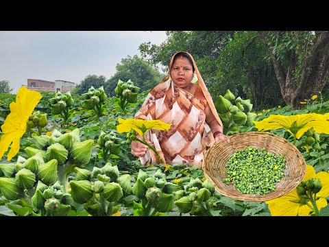 इस फूल की सभी बनाएंगे तो उंगलियां चाटते रह जाएंगे | Nenua ke Fool ki Sabji / Turai ke Phool ki Sabji