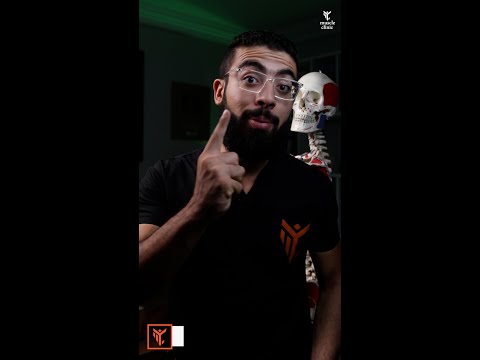 تمرين واحد للقضاء على ألم اسفل الظهر نهائيا 💯 ⭐️