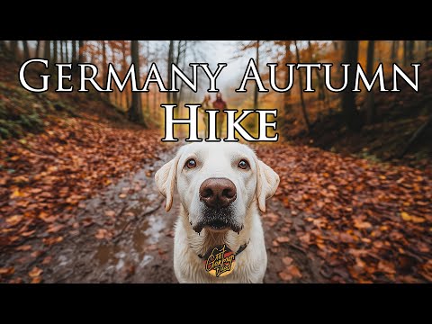 Herbstwanderung im Zwickenbachtal 🍂 Matsch, Blätter & wunderschöne Aussichten!