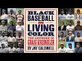 History and Impact of Negro Leagues in Baseball