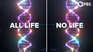 Why Is All DNA Right Handed?