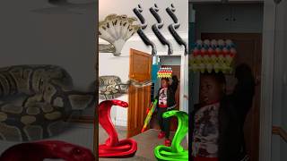 Marvelous Dancing Polish Cow funny DUCK cow dance Cow Song Videos panda giant strawberry asmr