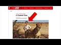 Cheetah Conservation and Reading Comprehension