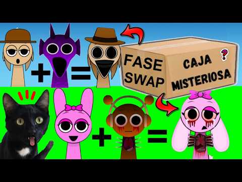 CAJA MISTERIOSA DE INCREDIBOX SPRUNKI SWAPPED PERO EL JUEGO ES EN LA VIDA REAL VS GATOS YOUTUBERS