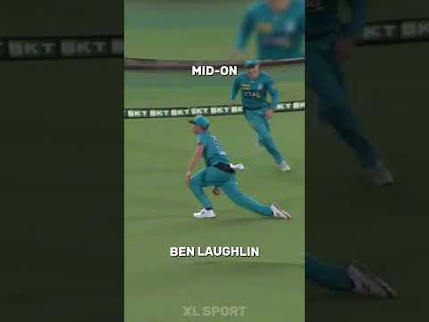 The Best Catch From Every Position Pt. 2