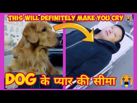 Dog के प्यार की सीमा 😭| Dog's Love Heart ❤️ Touching Story That Will Make You Cry 😢 | #shorts .