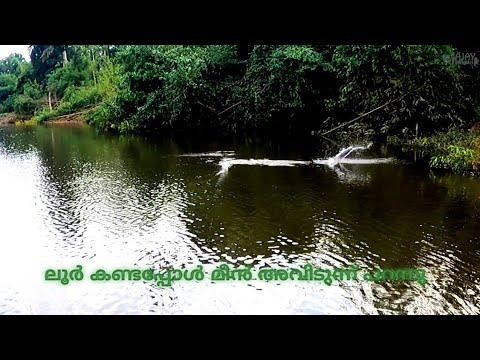 Pencil lure   ഇങ്ങനെയൊക്കെ നമുക്ക് ആക്ഷൻ കൊടുക്കാം #fishing #keralafishing #fish