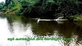 Pencil lure   ഇങ്ങനെയൊക്കെ നമുക്ക് ആക്ഷൻ കൊടുക്കാം #fishing #keralafishing #fish