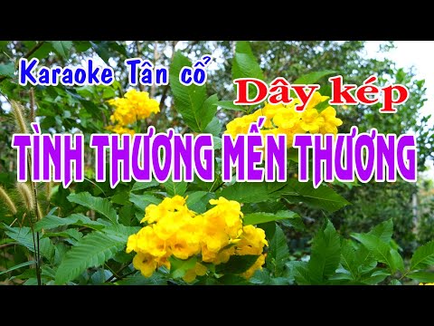 Karaoke tân cổ TÌNH THƯƠNG MẾN THƯƠNG – DÂY KÉP