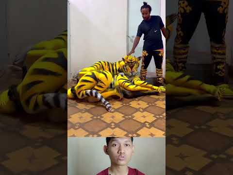 cara Kamuflase mirip harimau asli #trending #reaction #shortsvideo