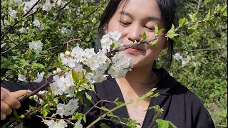 Very beautiful flowers