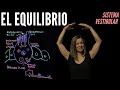 Sistema del Equilibrio en Mamíferos