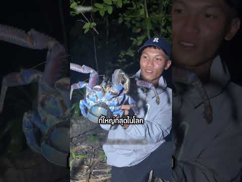 เห็นแล้วชวนหิว เมื่อเขานำปูไปทำอาหารสุดแซ่บ! #shorts #interesting #viralvideo #อาหาร