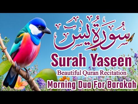 Surah Yasin (Yaseen) || سورہ یس 36 || Surah Yasin Full 7th Time || Morning Dua For Barakah || EP-030