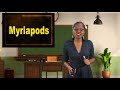 Worms and Myriapods Characteristics