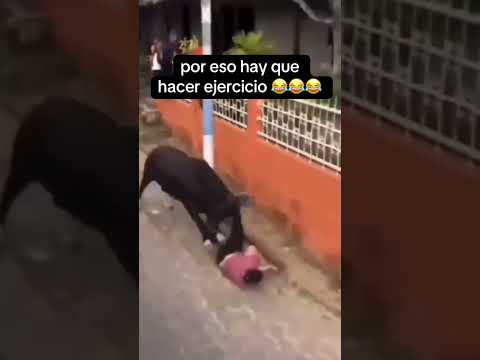 #humor #memes #parati #comedia