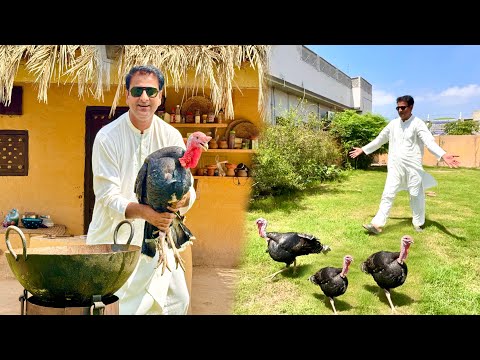 New Kitchen Mei Turkey Bird Bna Lia||How to Cook Turkey Bird Karahi?