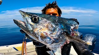 I Can't Believe I Found this Fish Spearfishing | Once in a Lifetime!