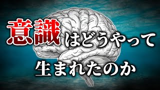 【意識の起源】元々物質だった生物はいつ意識を獲得したのか【ゆっくり解説】【雑学】