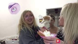 видео