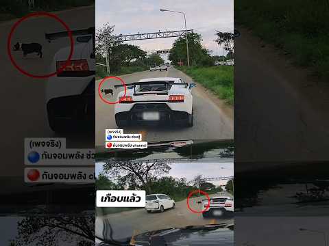 เกือบแล้ว #กันจอมพลัง #กันจอมพลังช่วยสู้ #thailand